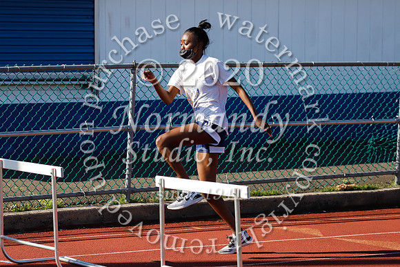 CHS_001_tr-g