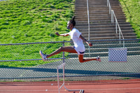 CHS_014_tr-g