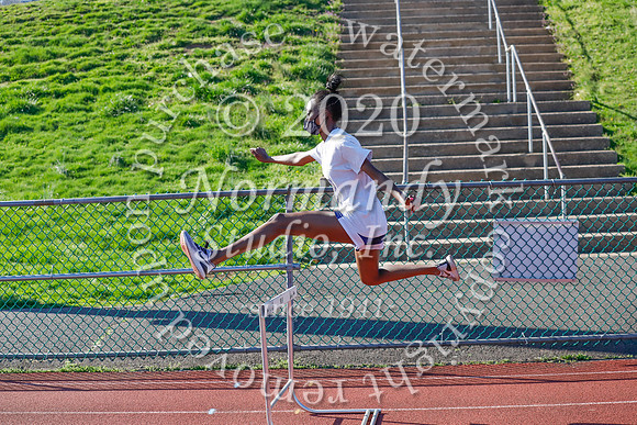 CHS_014_tr-g