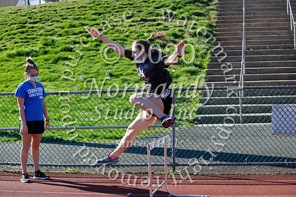 CHS_032_tr-g