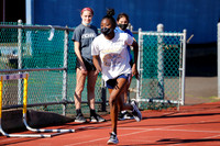 CHS_008_tr-g