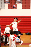 LIB_vb-b_19
