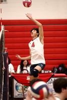 LIB_vb-b_04