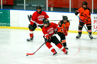 ICE HOCKEY