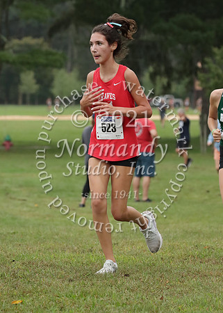 MNP_020_cc-g