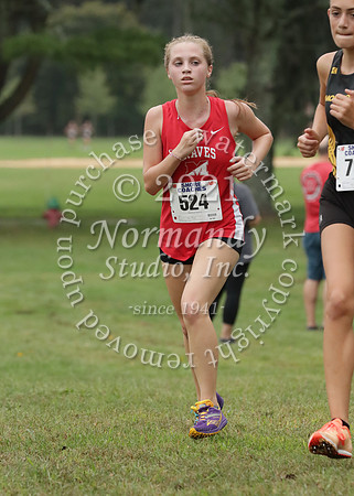 MNP_017_cc-g