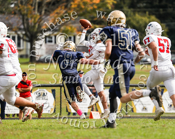 MNP_33_fb
