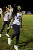MNP_10_dt