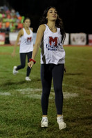 MNP_12_dt