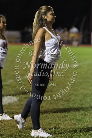 MNP_19_dt
