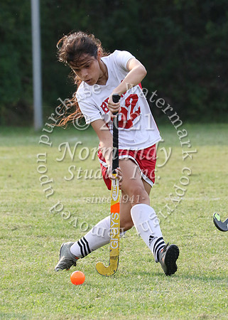 MNP_038_fh