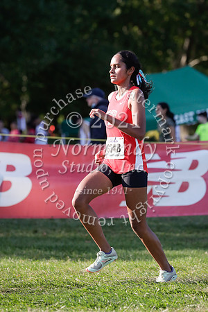 MNP_07_cc-g