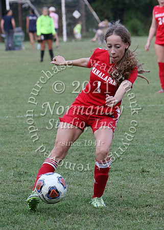 MNP_034_so-g