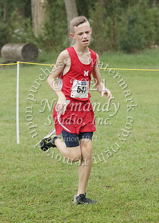 MNP_038_cc-b