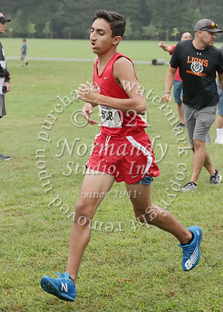 MNP_024_cc-b