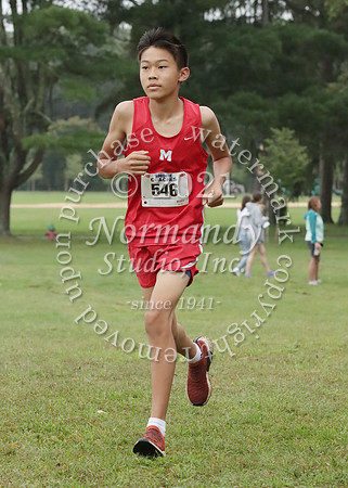 MNP_005_cc-b