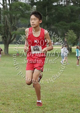 MNP_006_cc-b