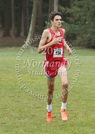 MNP_026_cc-b