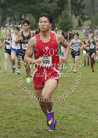 MNP_048_cc-b