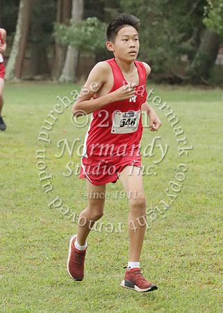 MNP_013_cc-b