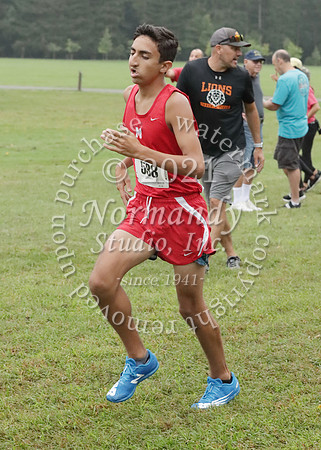 MNP_023_cc-b