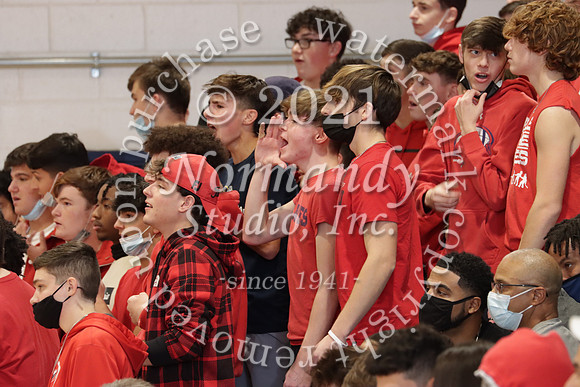 MNP_066_bb-b