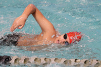 MNP_010_sw-b