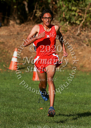 MNP_040_cc-b