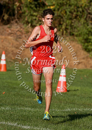 MNP_024_cc-b