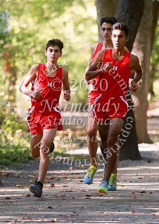 MNP_008_cc-b