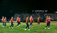 MNP_07_dt