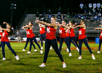 MNP_15_dt