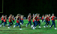 MNP_02_dt