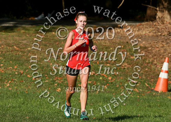 MNP_009_cc-g