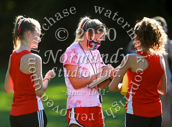 MNP_040_cc-g