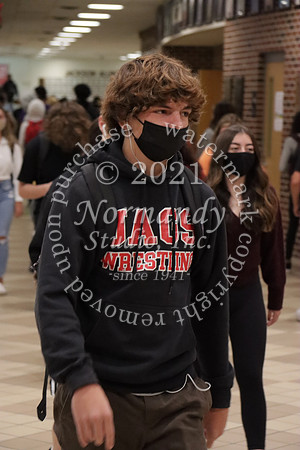 JAC_361_slc