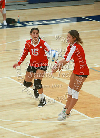 BER_vb-g_46