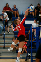 BER_vb-g_04