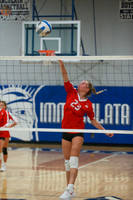 BER_vb-g_09