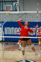 BER_vb-g_08
