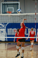 BER_vb-g_07