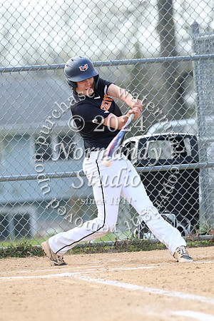 SVL_bb-f_051