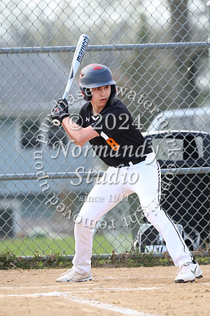 SVL_bb-f_053