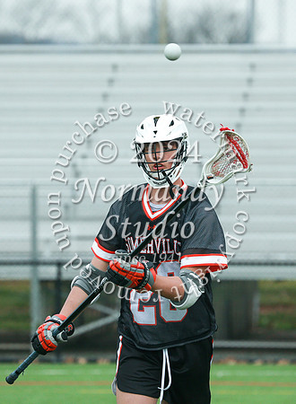 SVL_lc-b-j_08