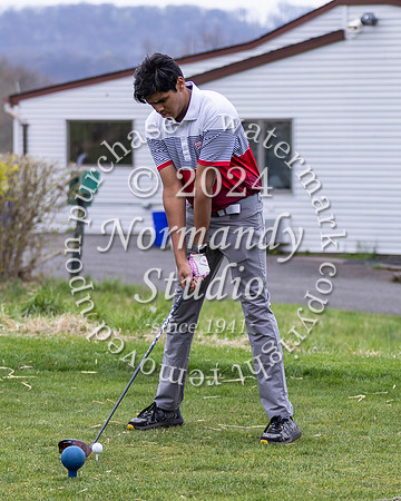 SVL_go-b_02