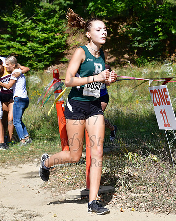 RDG_039_cc-g