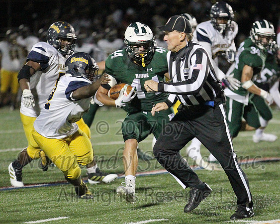 RDG_41_fb