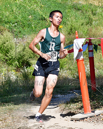 RDG_032_cc-b