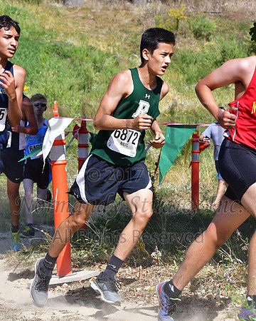 RDG_048_cc-b