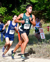 RDG_011_cc-b
